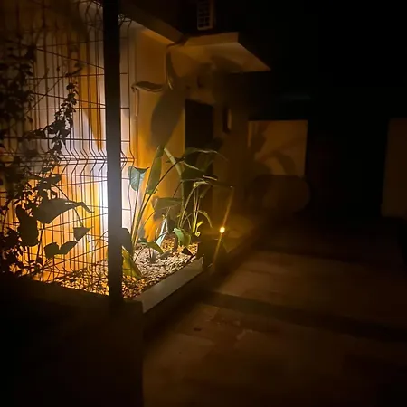 Welcome To Huzurdereköy Peksimet