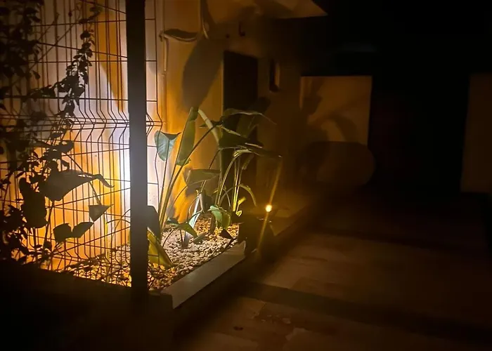 Welcome To Huzurderekoey Peksimet