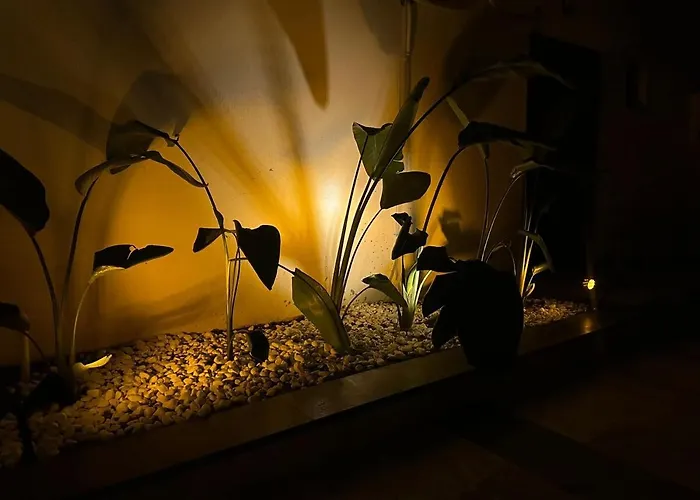 فيلة Welcome To Huzurderekoey Peksimet